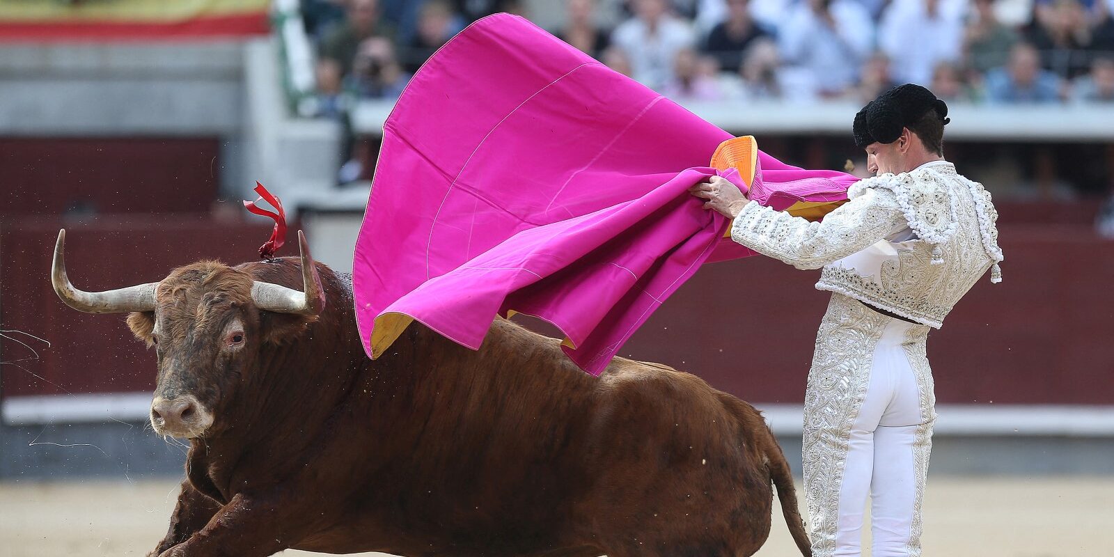 CDMX promueve corridas de toros sin violencia