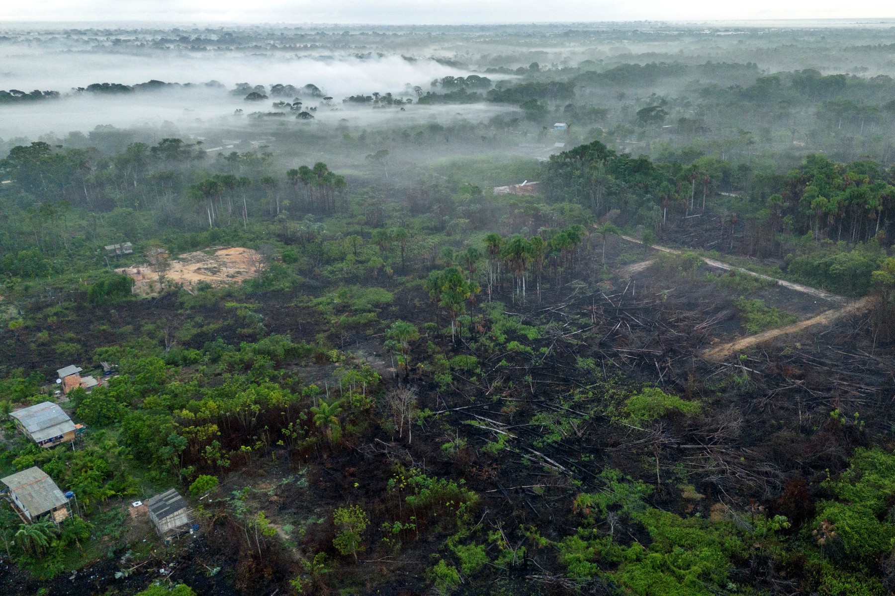 La deforestación en el Amazonas impactaría en las lluvias y el cambio climático