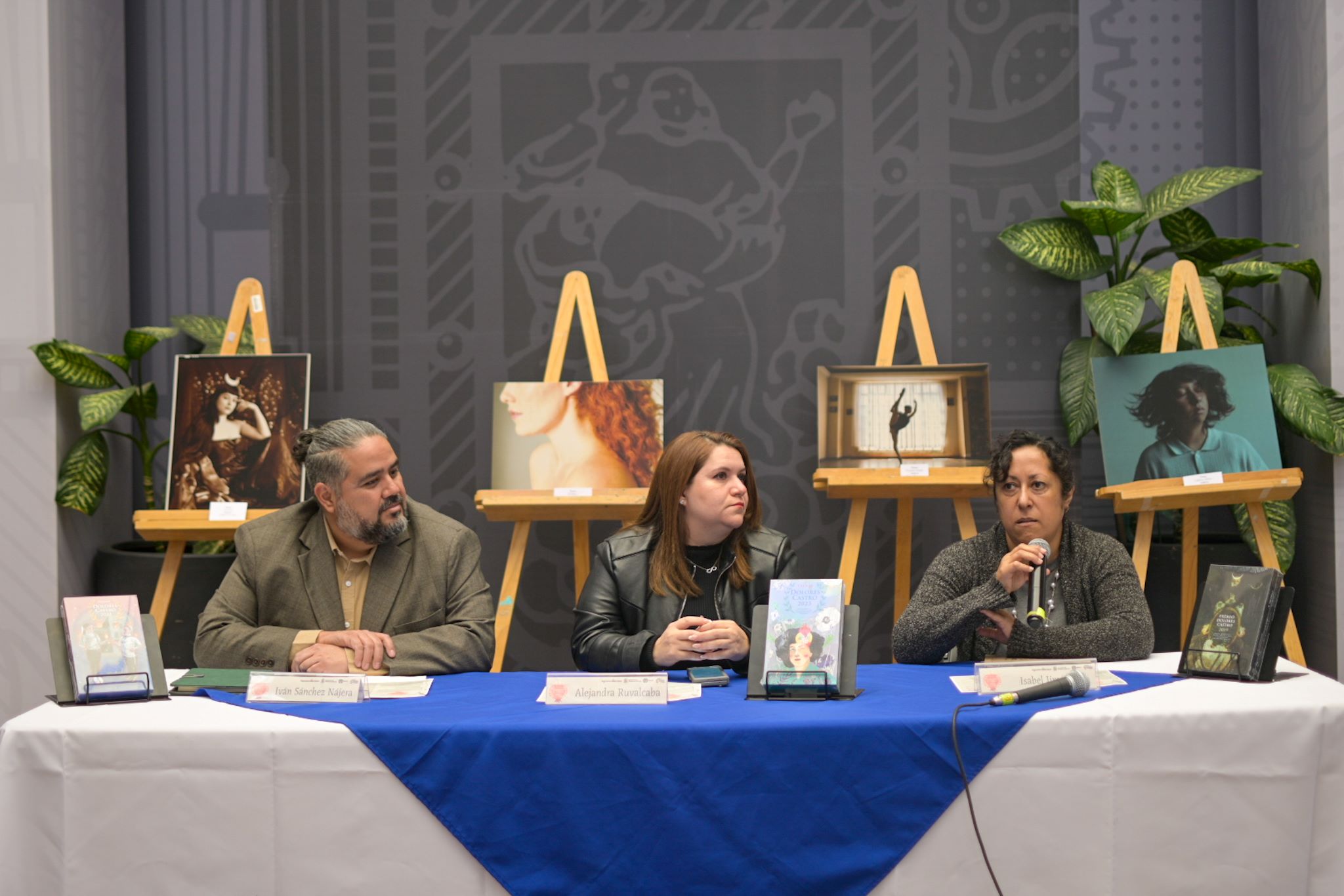Lanzan convocatoria para el Premio Dolores Castro 2025