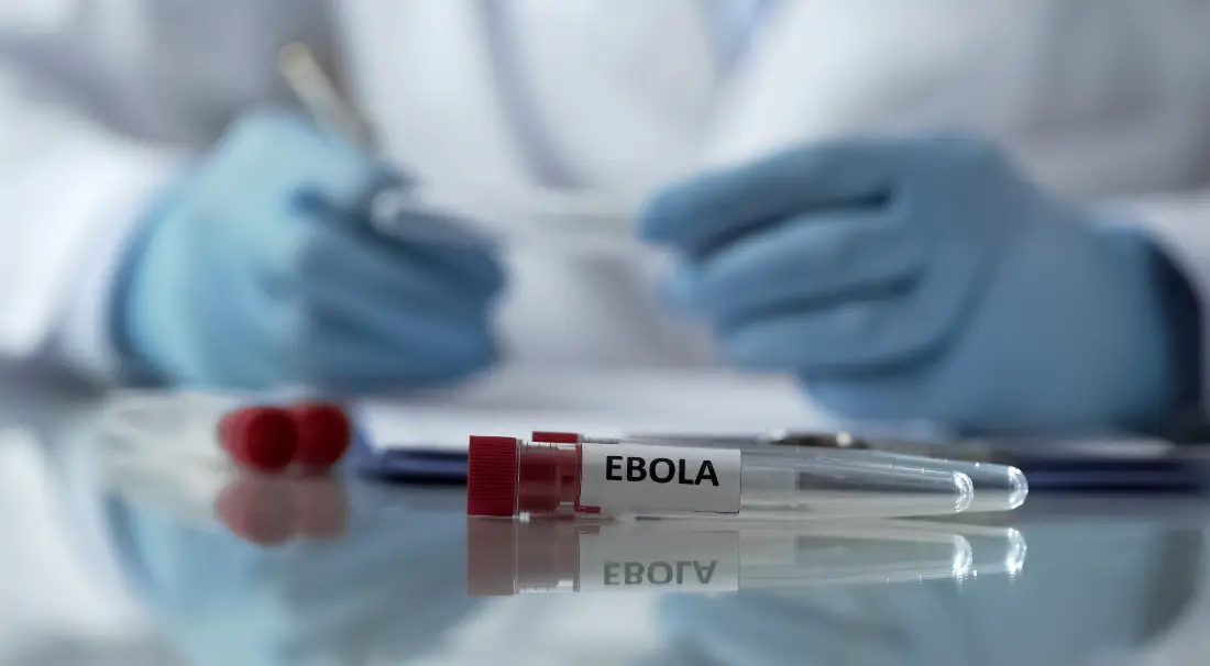 Monos se recuperan del ébola con una pastilla, un avance clave para tratamientos en humanos