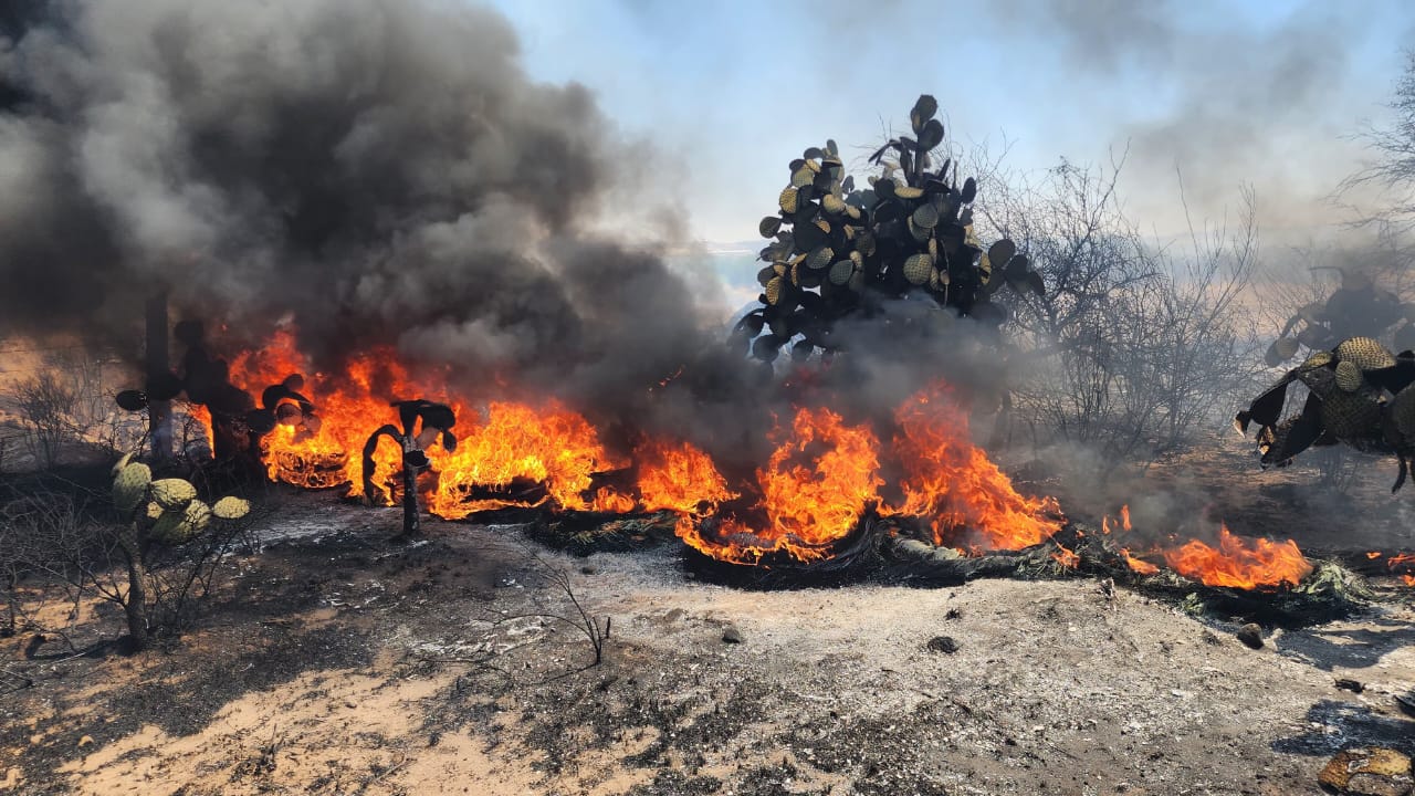 Van más de mil incendios este año en Aguascalientes capital