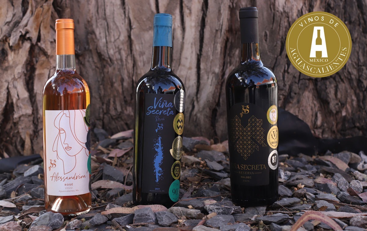 Vinos de Aguascalientes, reconocidos a nivel internacional