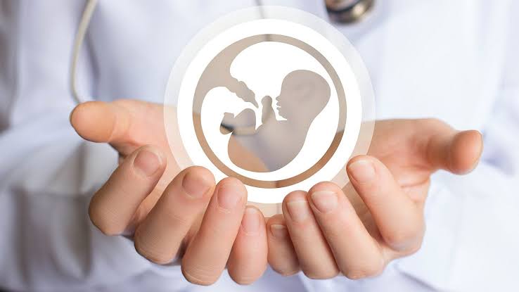 Iglesia llama a defender la vida ante debate sobre aborto en Durango