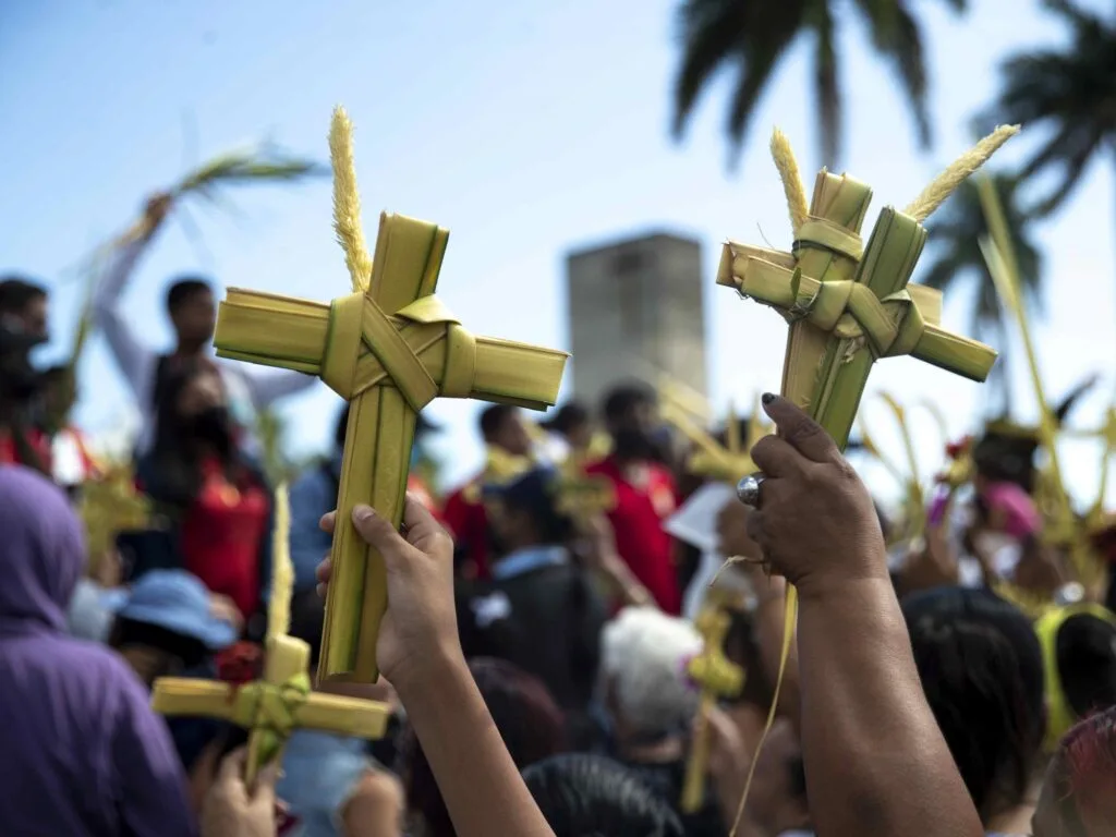 Laurel, en peligro de extinción: llaman a no usarlo este Domingo de Ramos