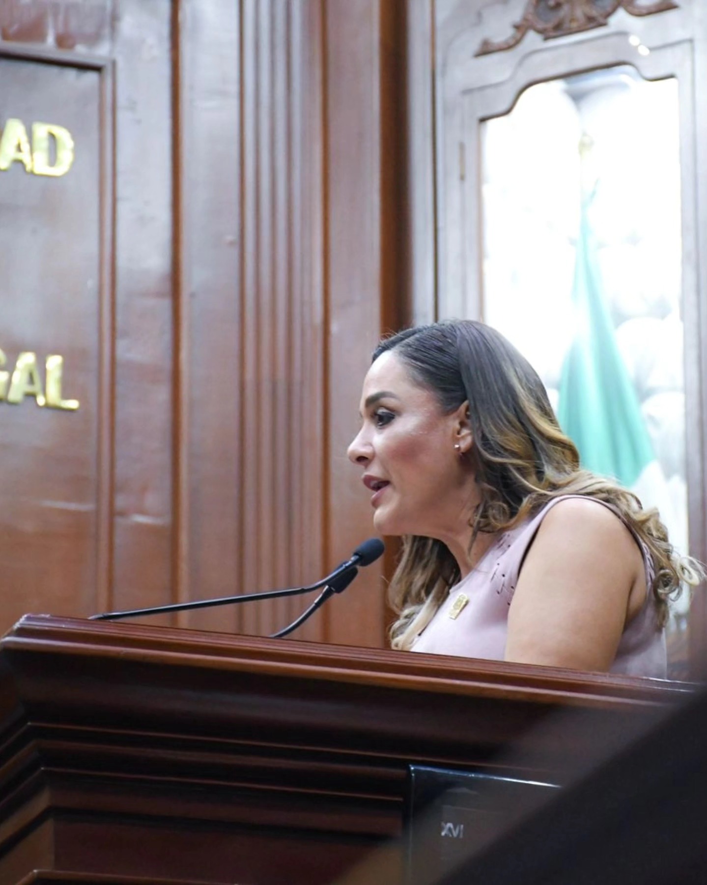 Seguridad y desarrollo en Aguascalientes ¿qué proponen desde el Congreso?