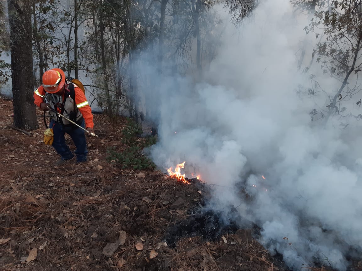 Guanajuato registra más incendios forestales que en todo 2024