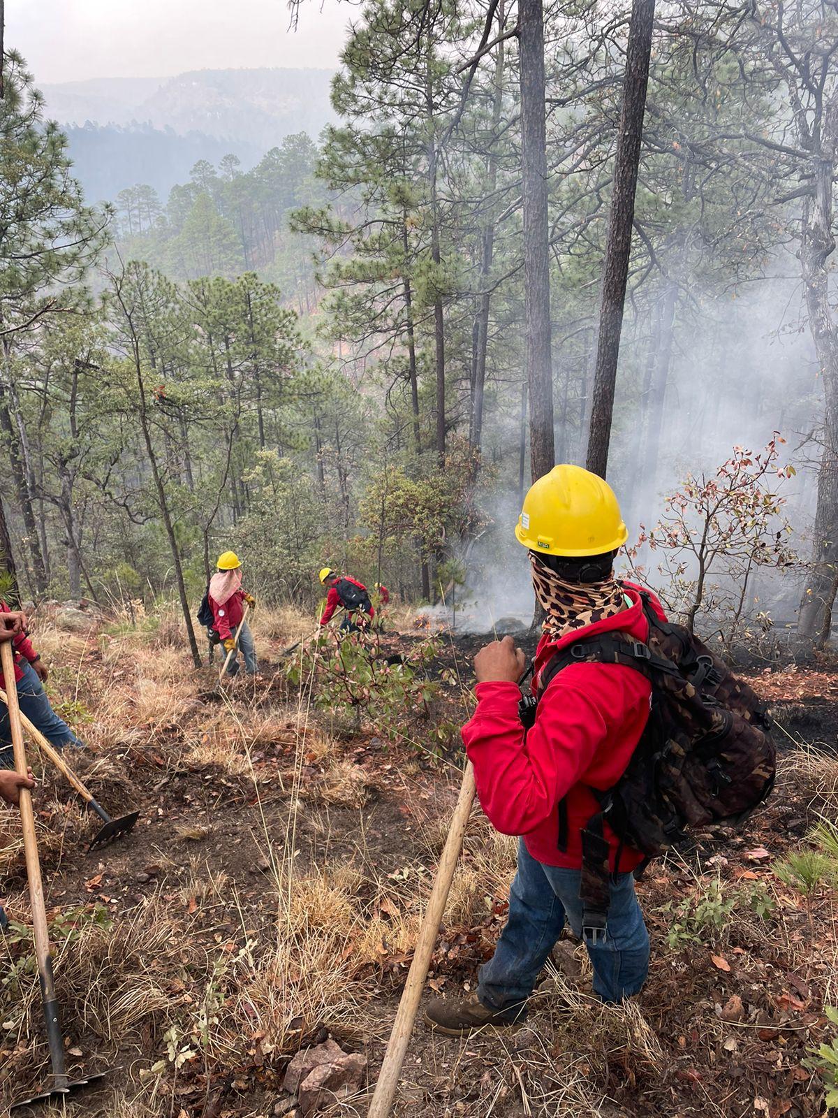 Incendios forestales