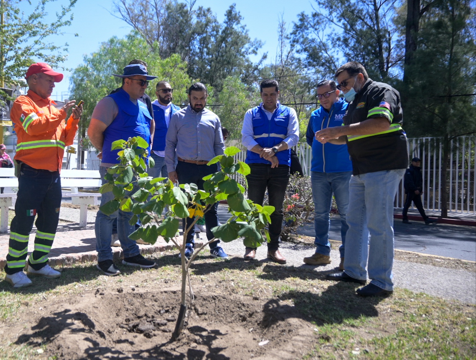 Empresarios y municipio reforestan camellones
