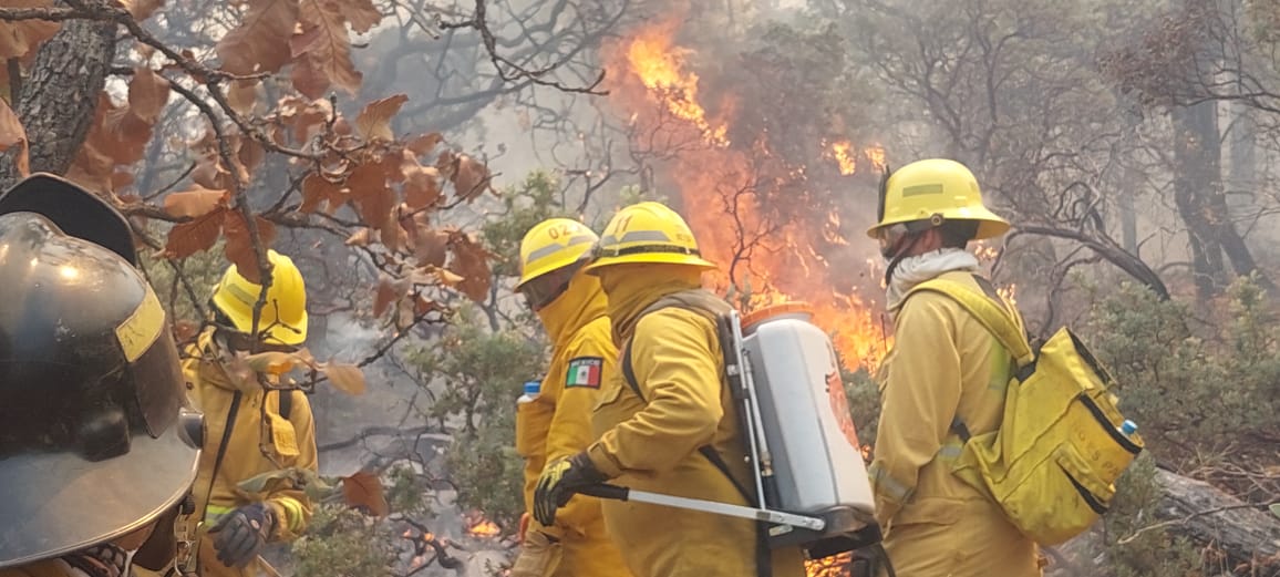 Bomberos de Aguascalientes apoyan en incendios forestales de Zacatecas