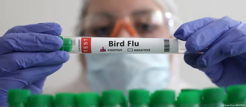 Confirman primer caso humano de influenza aviar en Durango