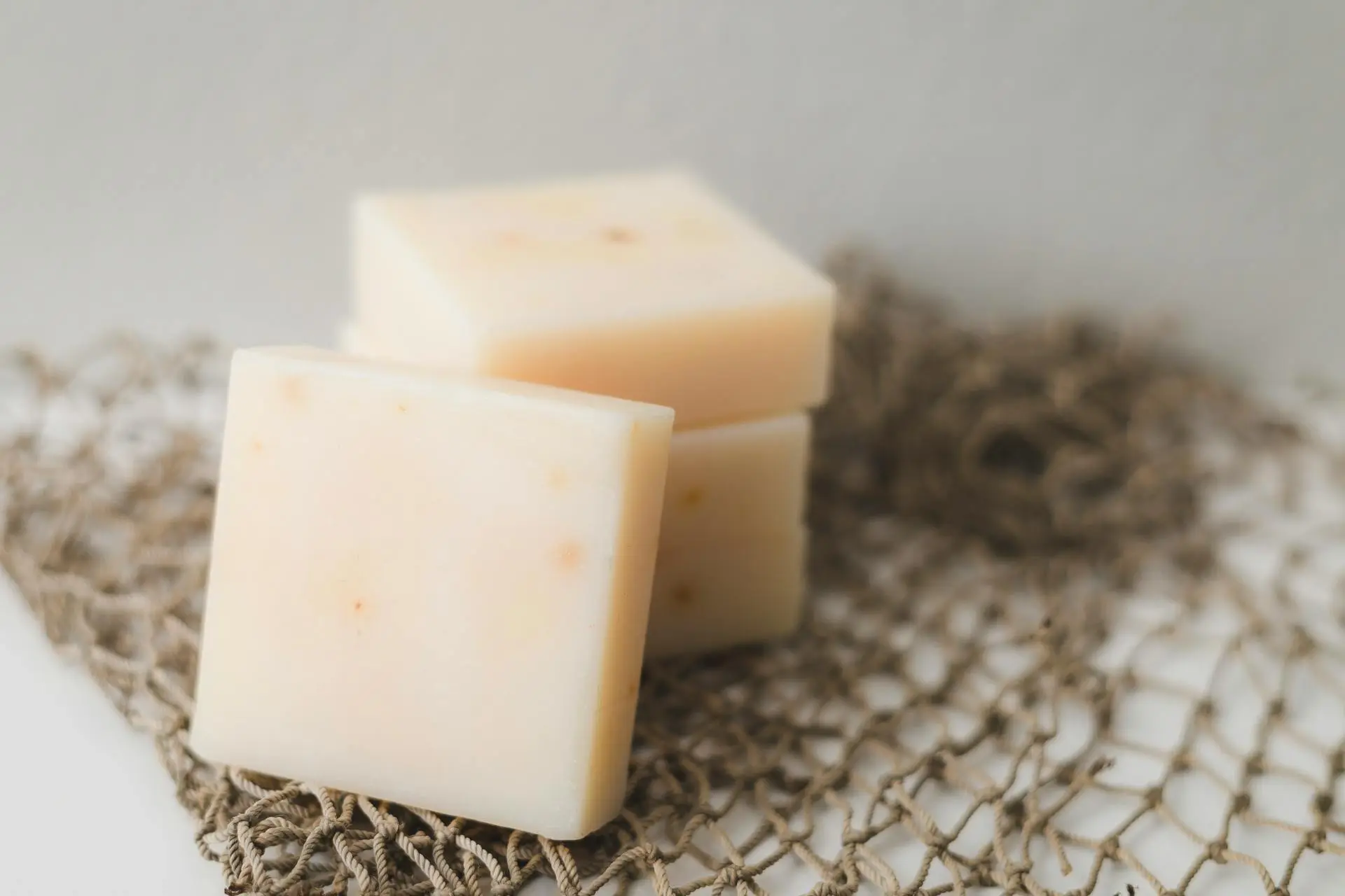 Ampliará Gobierno gama de productos lácteos: ahora producirán queso