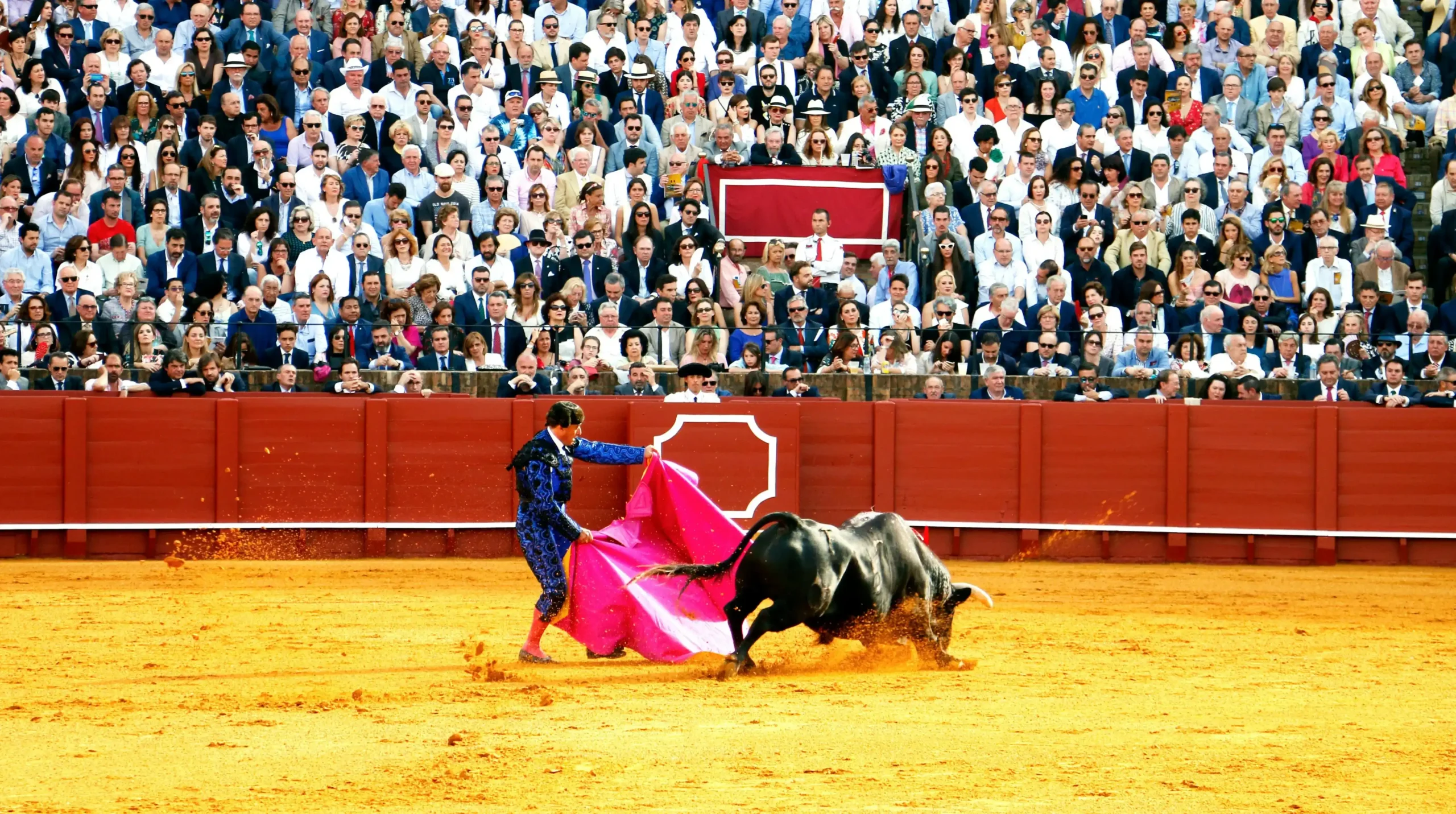 Defiende gobernadora de Aguascalientes blindaje a las corridas de toros
