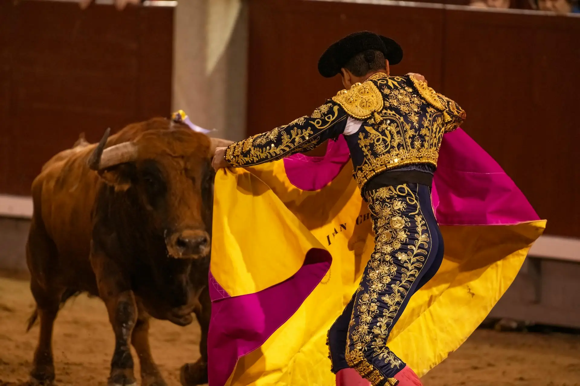 Empresarios se posicionan a favor de las corridas de toros