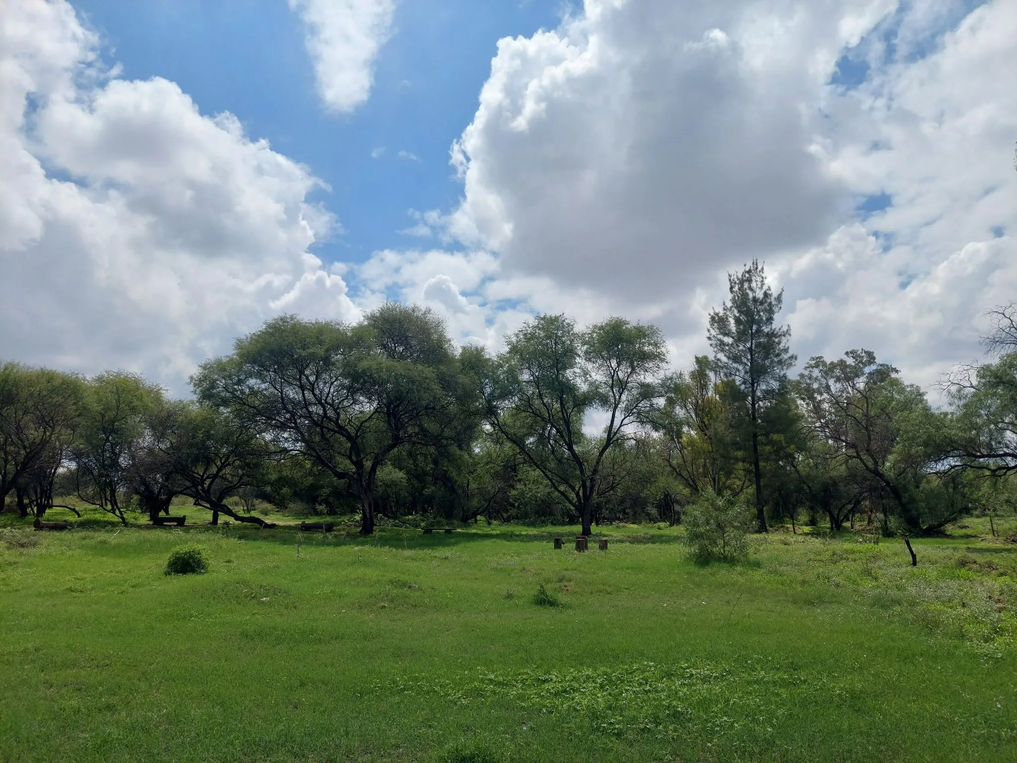 Municipio priorizará permuta antes que expropiación en La Pona