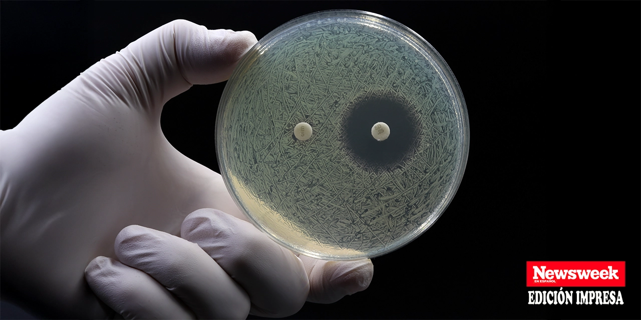 ¿Los antibióticos debilitan tu sistema inmunológico?