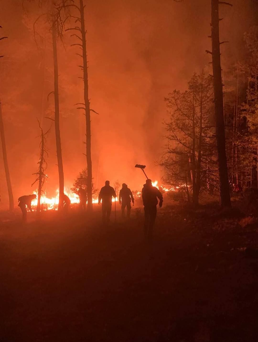 Incendio forestal en Tepehuanes: se movilizan más de 100 brigadistas y voluntarios