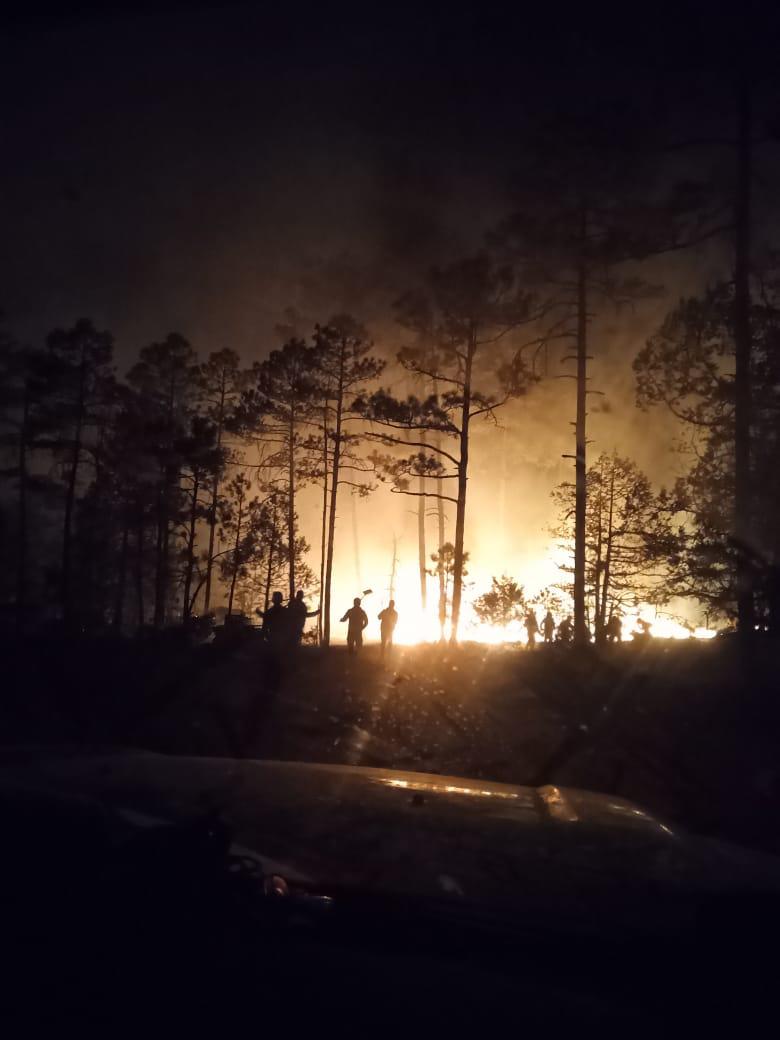 Incendio forestal Tepehuanes