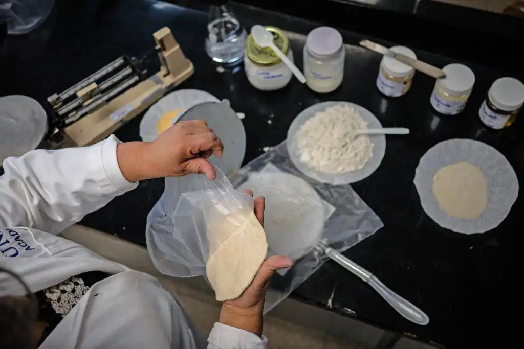 Científica mexicana crea tortilla con probióticos que dura un mes sin refrigeración