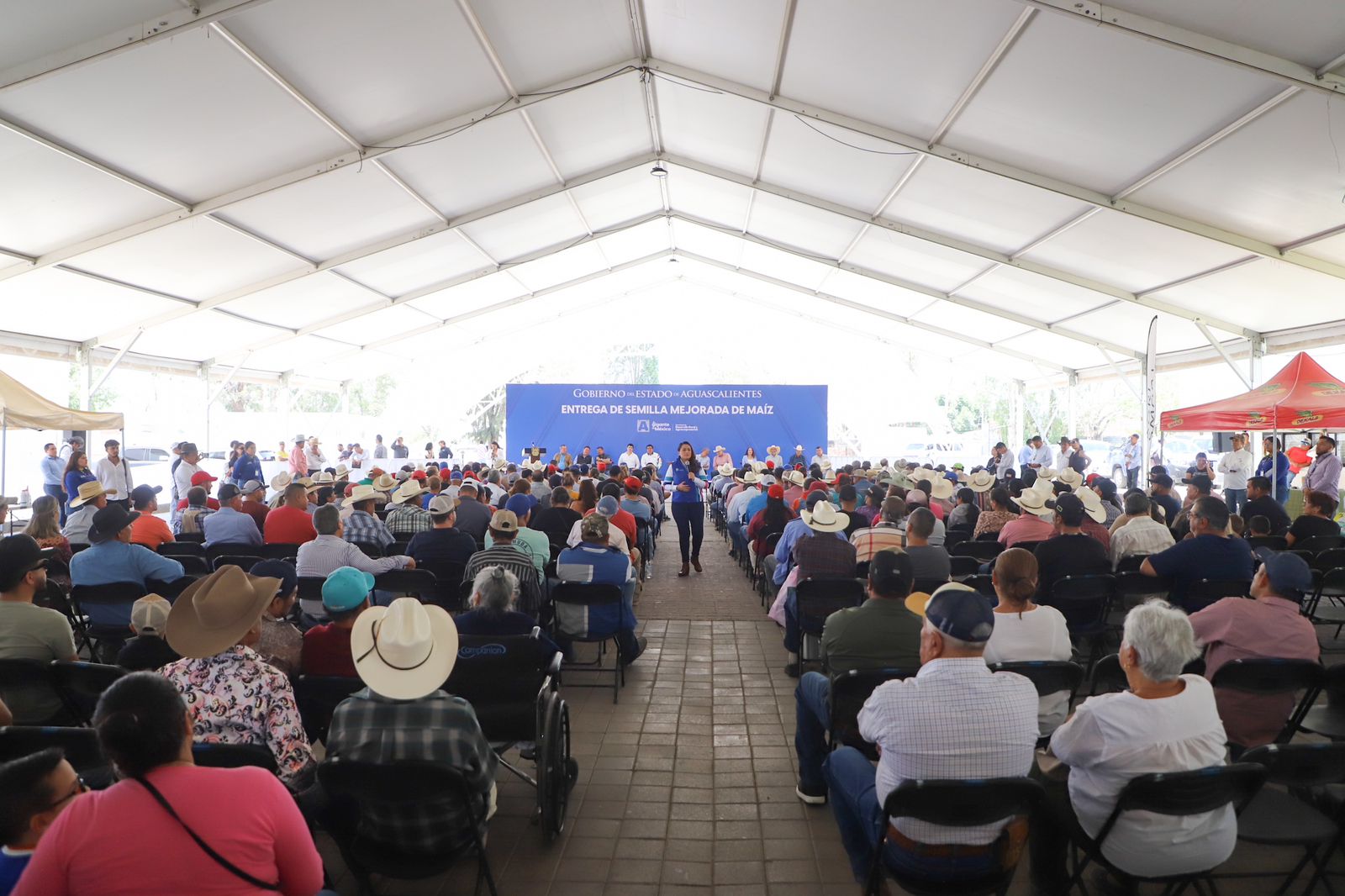 Entregan semilla mejorada de maíz en Jesús María