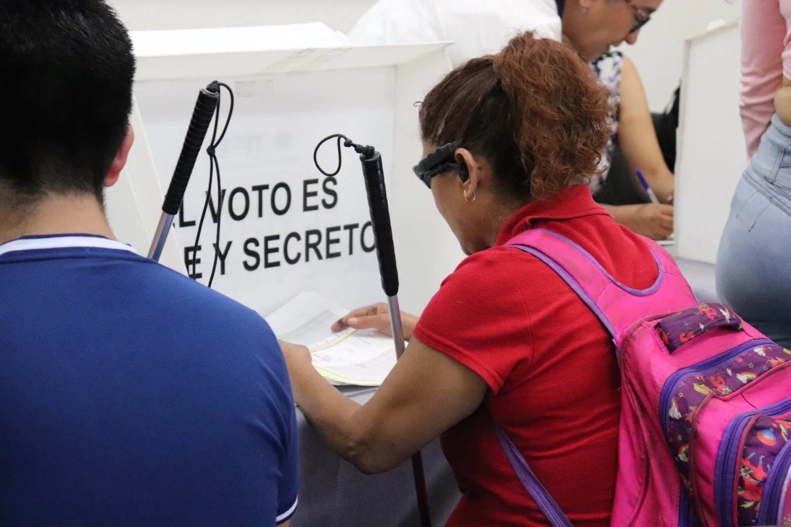 Pese a bajo presupuesto, INE busca garantizar el voto de personas con discapacidad