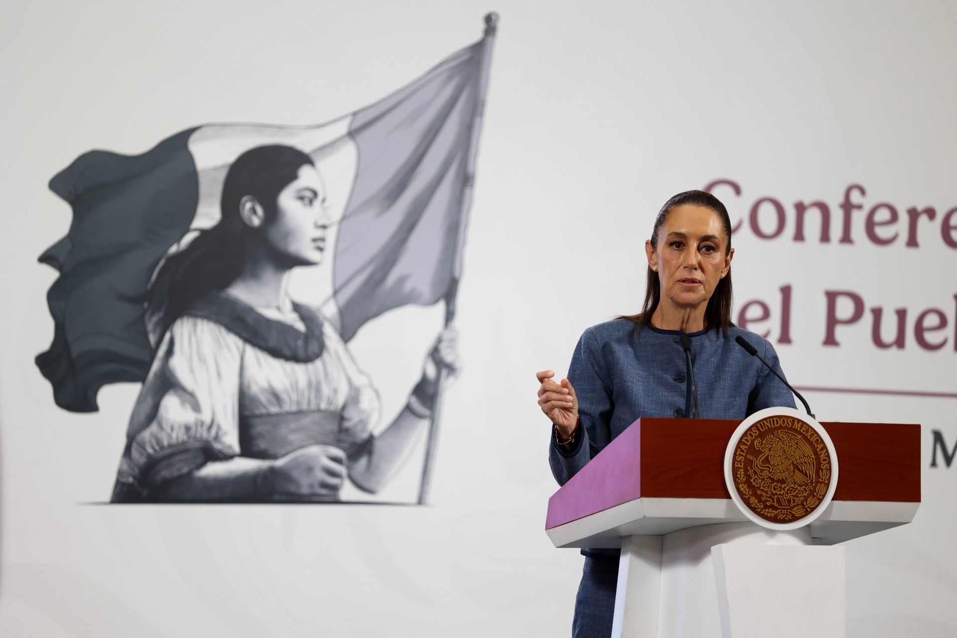 VIDEO: &#8216;No fue el pueblo quien los eligió&#8217;: Claudia Sheinbaum vs. Reyna Haydee Ramírez por la Elección Judicial
