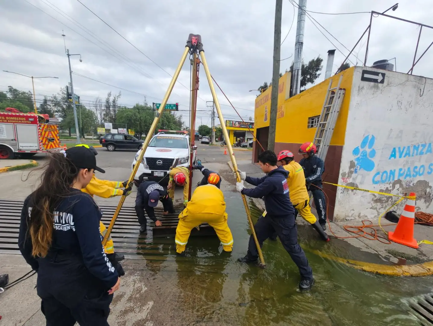 Basura, muebles y hasta refrigeradores han sacado de caimanes de Aguascalientes
