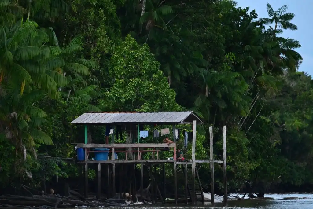 Brasil llega a la antesala de la COP30 con aumento de la deforestación en la Amazonia