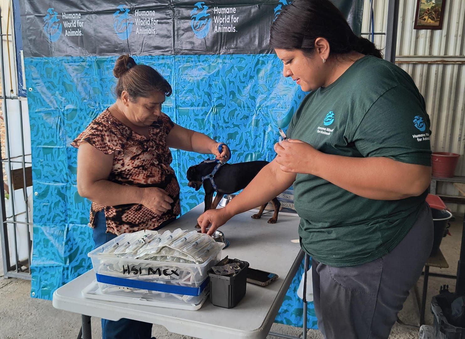 Clínica Veterinaria Móvil regresa a colonias de Aguascalientes