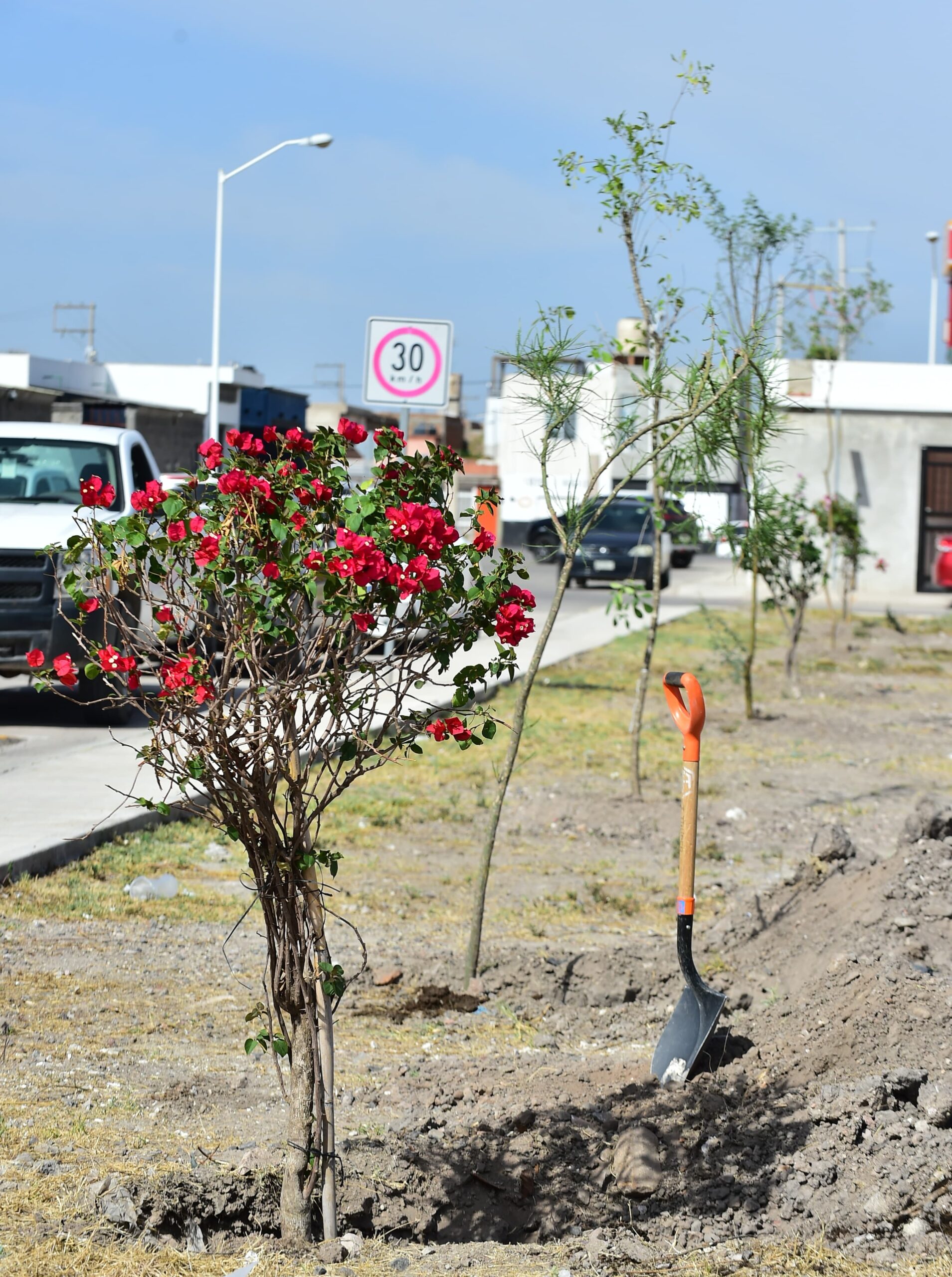Escuelas y vecinos se benefician con nuevo microbosque en la capital