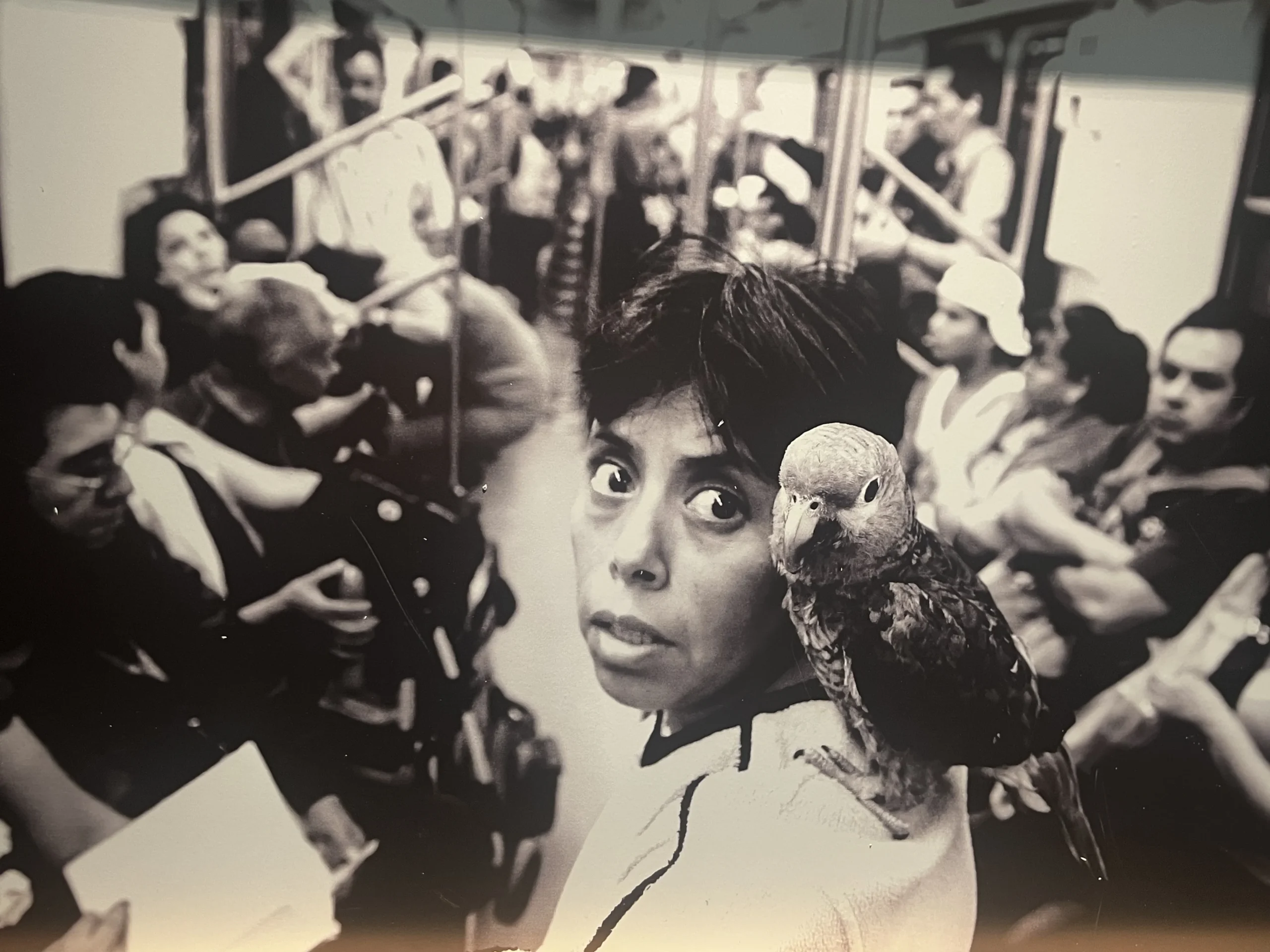 La vida en 30 imágenes: abren exposición de fotoperiodismo en Aguascalientes