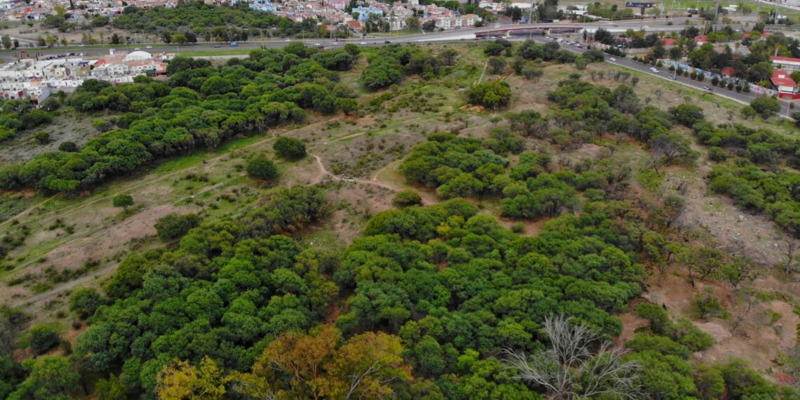 Tribunales bajo la lupa: los jueces que han marcado el destino ambiental de Aguascalientes