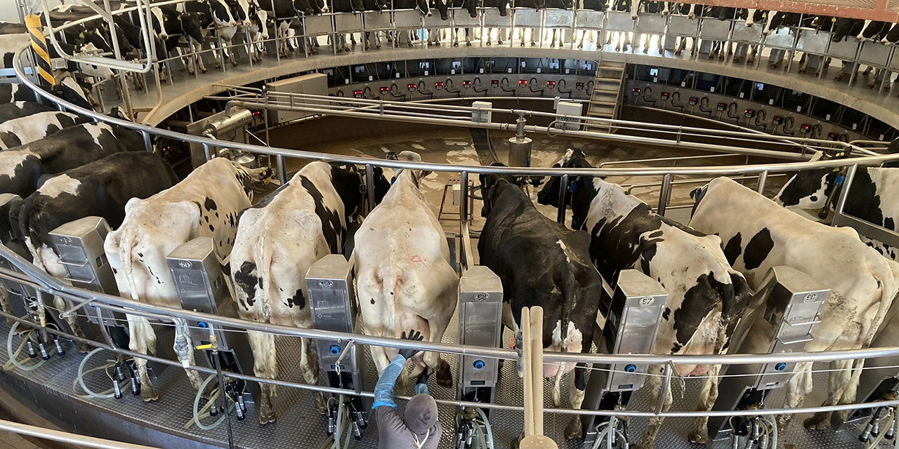 Tu salud empieza con un vaso de leche: de la vaca a la mesa hay más que ciencia