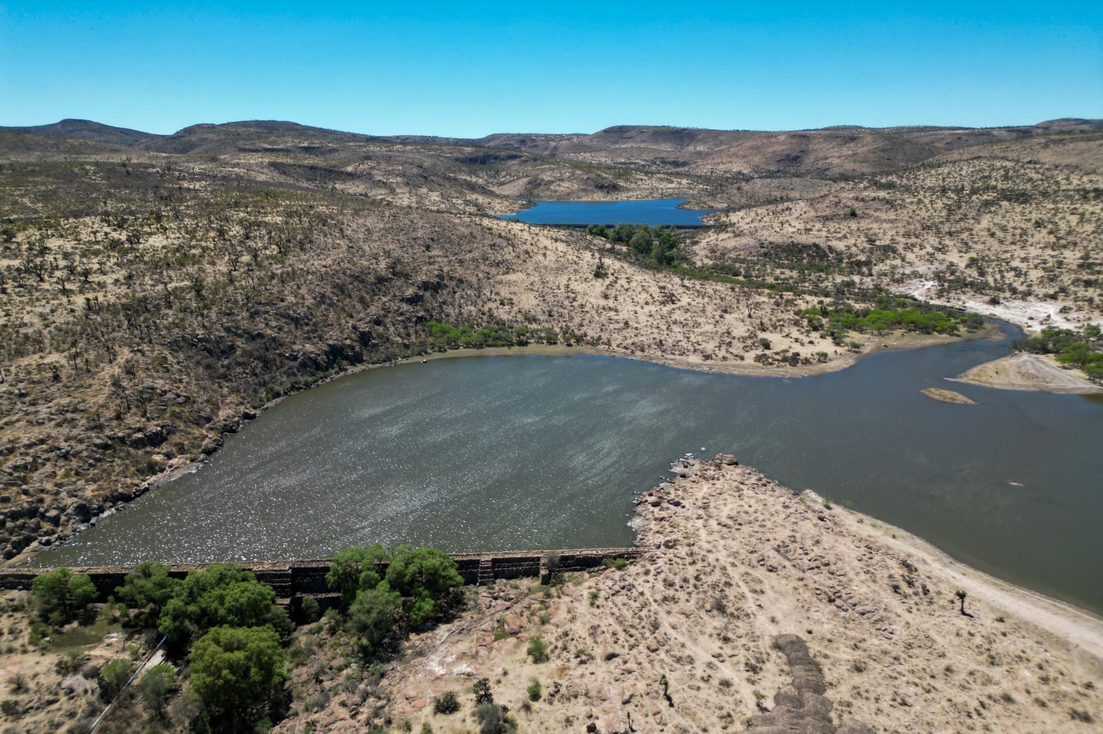 Rehabilitación de bordos mejora almacenamiento de agua en el campo de Aguascalientes