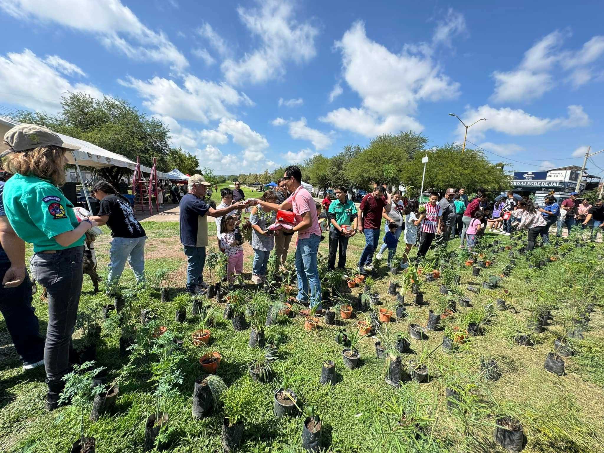 Habrá reforestación comunitaria y donación de árboles en la Línea Verde