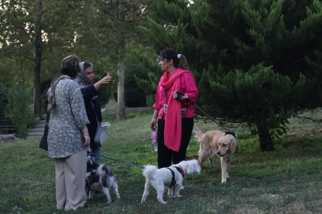 perros Irán
