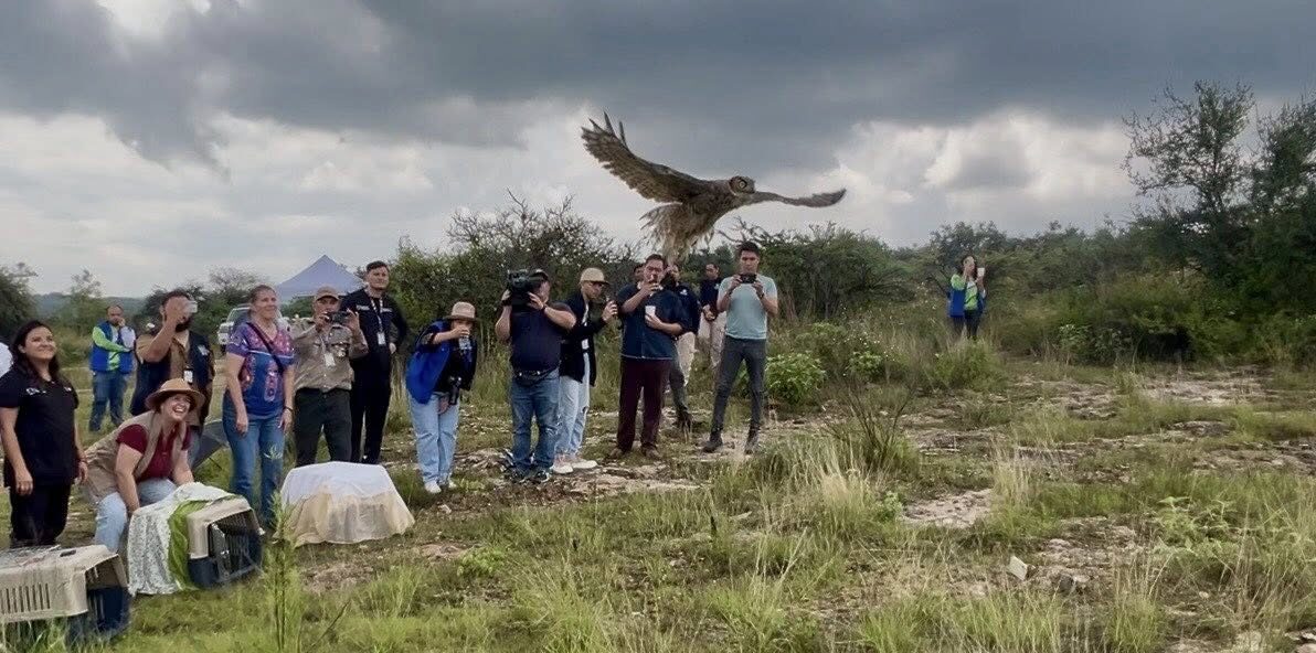 Liberan 10 ejemplares de fauna silvestre en el Área Natural Protegida “El Tecolote”