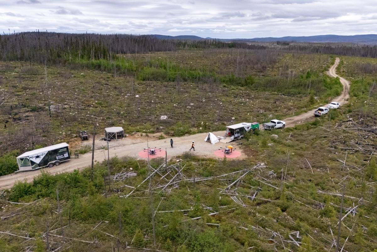 Drones para reforestar Canadá: la tecnología aérea que lanza cápsulas para recuperar el bosque