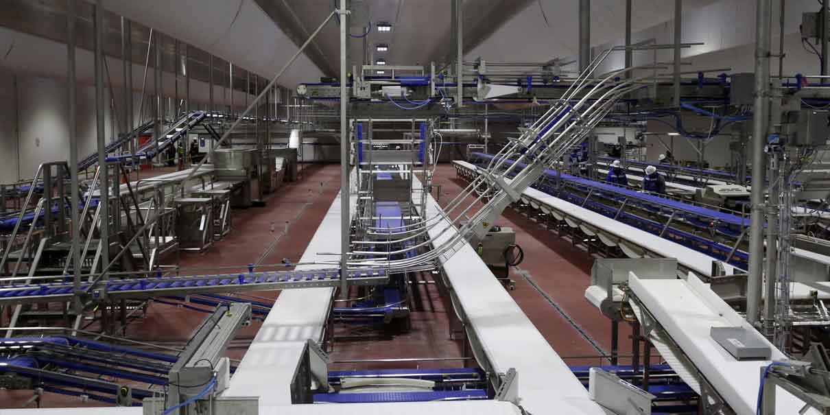 Autoridades ambientales avalan funcionamiento de granjas en Puebla