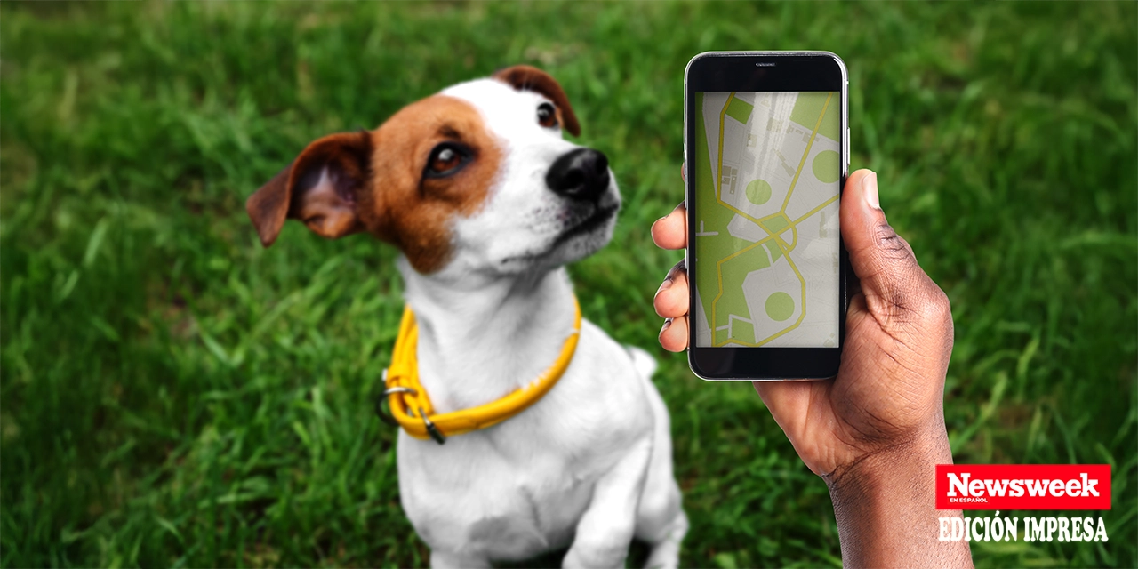 Mascotas 2.0: gadgets para cuidar a los guardianes de casa