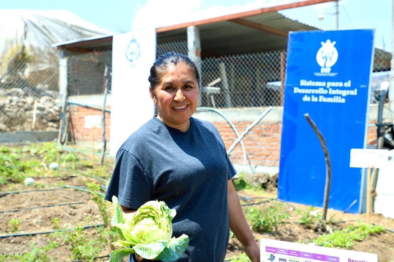 Florecen huertos escolares en Guanajuato: DIF fomenta cultivos en escuelas y comunidades