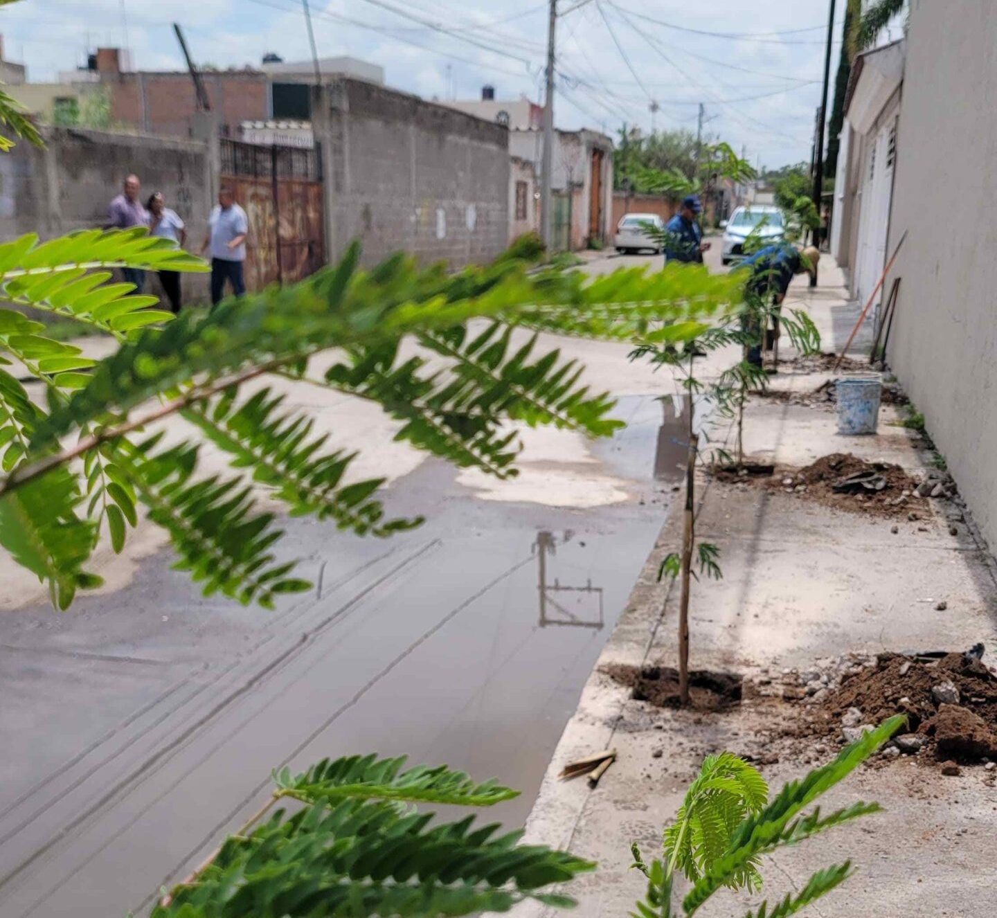 Se plantan más de 850 árboles y plantas en diferentes puntos de la ciudad