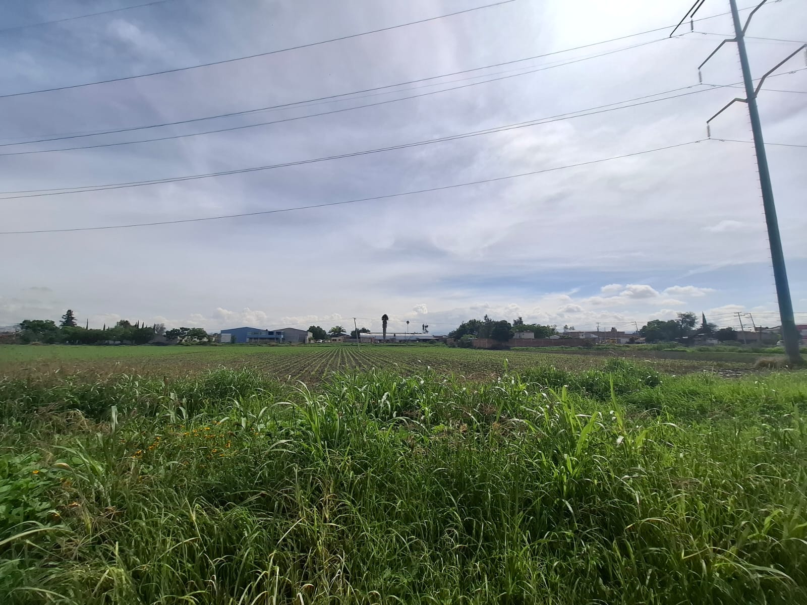 Lluvias dan respiro al campo, pero aún hay sequía en Guanajuato