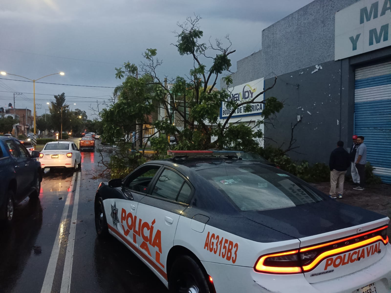 [GALERÍA] Lluvia deja más de 30 árboles caídos y múltiples daños en Aguascalientes capital