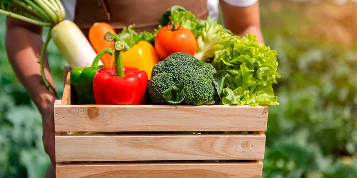 Hongos gran opción de alimentación sustentable: La Cosmopolitana