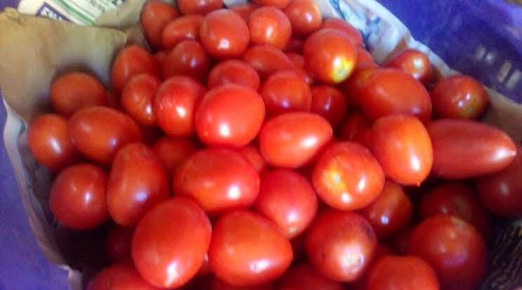 Huevo y tomate suben de precio: ¿qué factores están detrás del aumento?