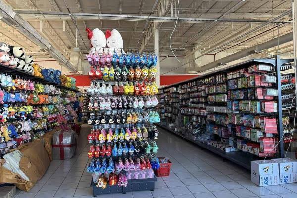 ¿Afectan las tiendas chinas al comercio local? Empresarios encienden la alerta