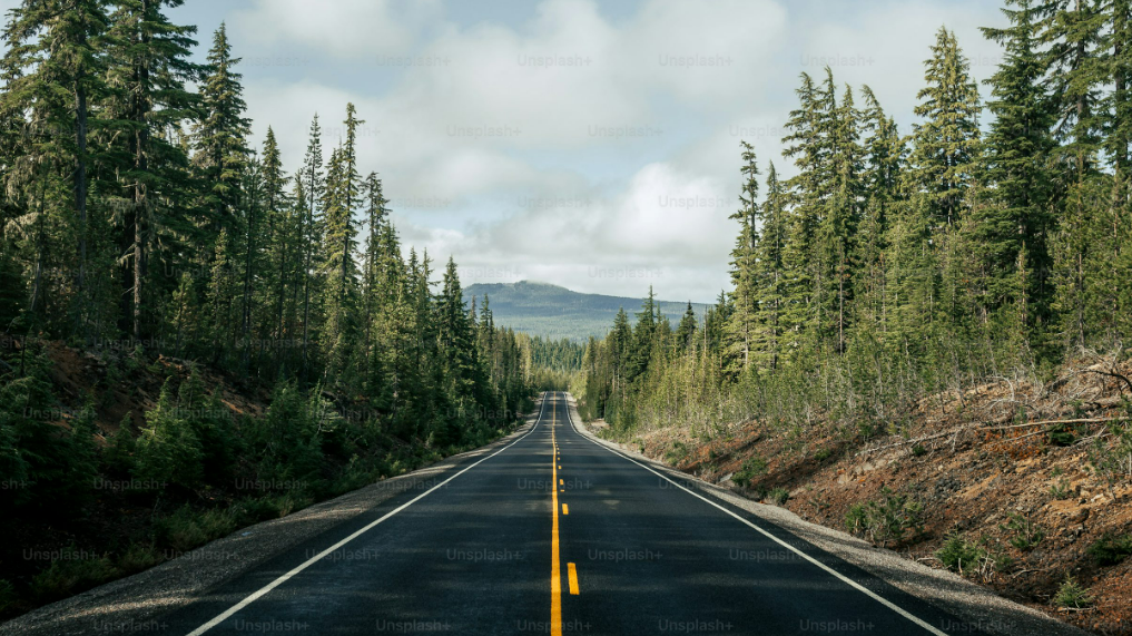 La ruta menos esperada