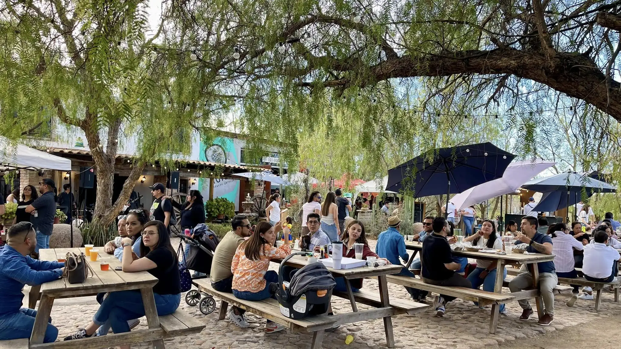 “Wateke Fest”: el festival que reúne a más de 200 expositores gastronómicos en Aguascalientes
