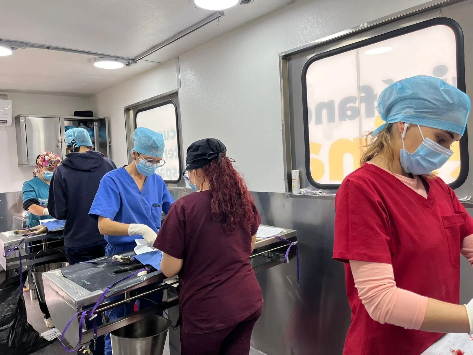 Quirófano veterinario ofrecerá servicios en Colinas del Río y Pocitos