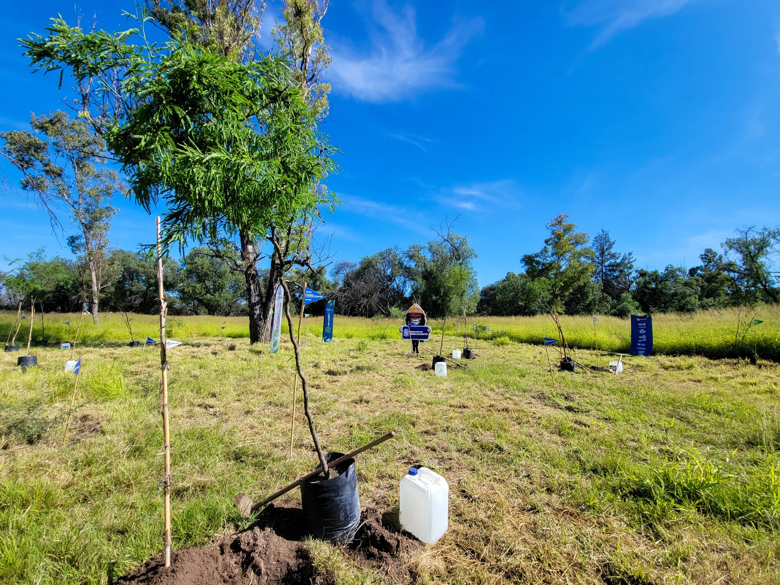 Iniciativa privada se suma a reforestación en La Pona
